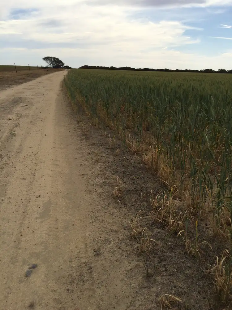 Third view of Homely rural property listing, "Ross's" Kulja Central Road, Kalannie WA 6468