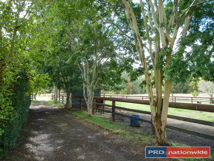 Third view of Homely rural property listing, 2 Mallums Road, Iron Pot Creek via, Kyogle NSW 2474