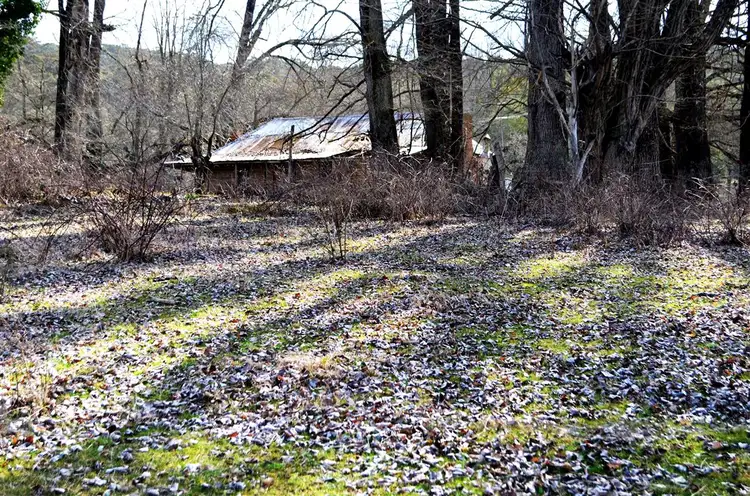Second view of Homely rural property listing, 1345 Argalong Road, Tumut NSW 2720