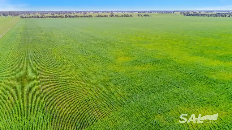 Fourth view of Homely rural property listing, 1273 Gap Rd, Frances SA 5262
