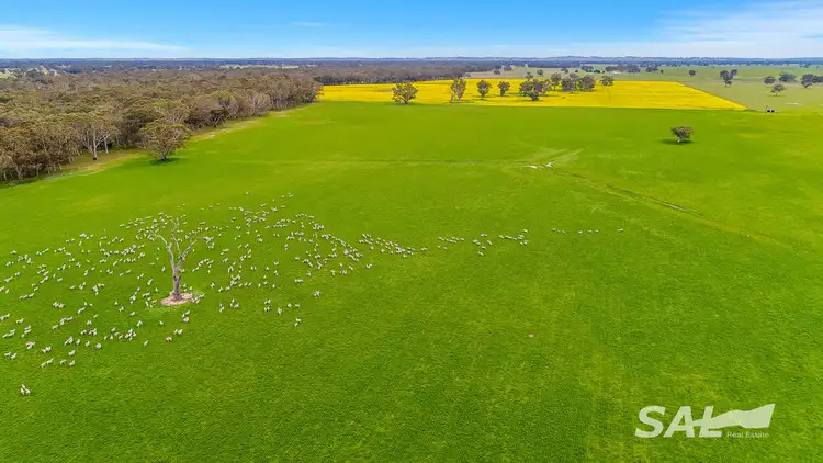 Fifth view of Homely rural property listing, 1273 Gap Rd, Frances SA 5262