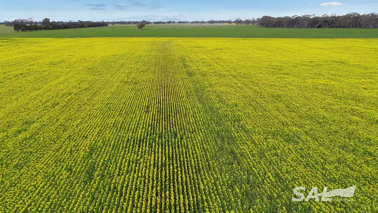 Sixth view of Homely rural property listing, 1273 Gap Rd, Frances SA 5262