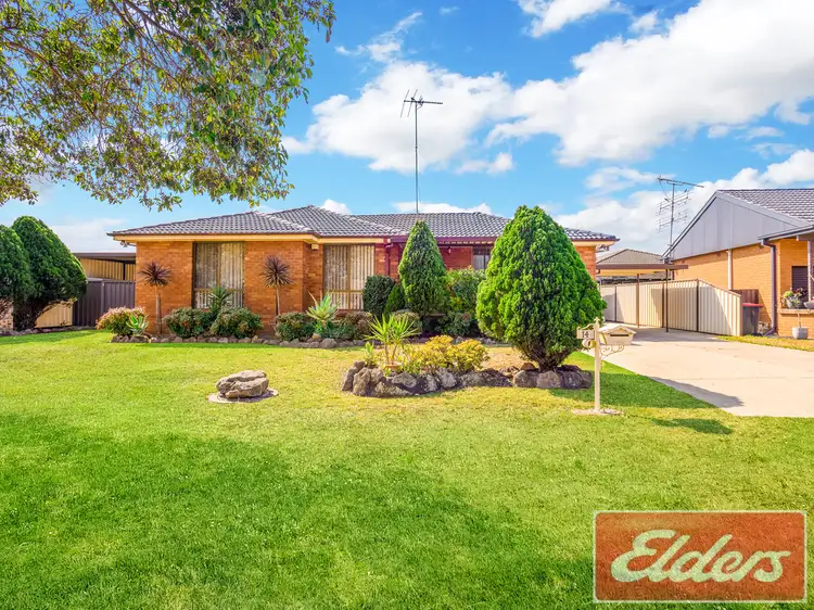 Main view of Homely house listing, 14 Arcadia Place, Colyton NSW 2760