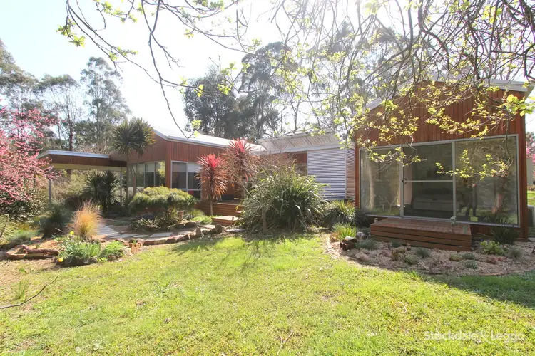 Main view of Homely house listing, 19 Walkers Road, Mirboo VIC 3871