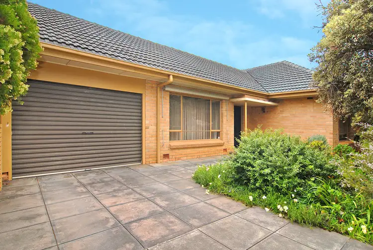 Main view of Homely house listing, 26 Primrose Avenue, Paradise SA 5075