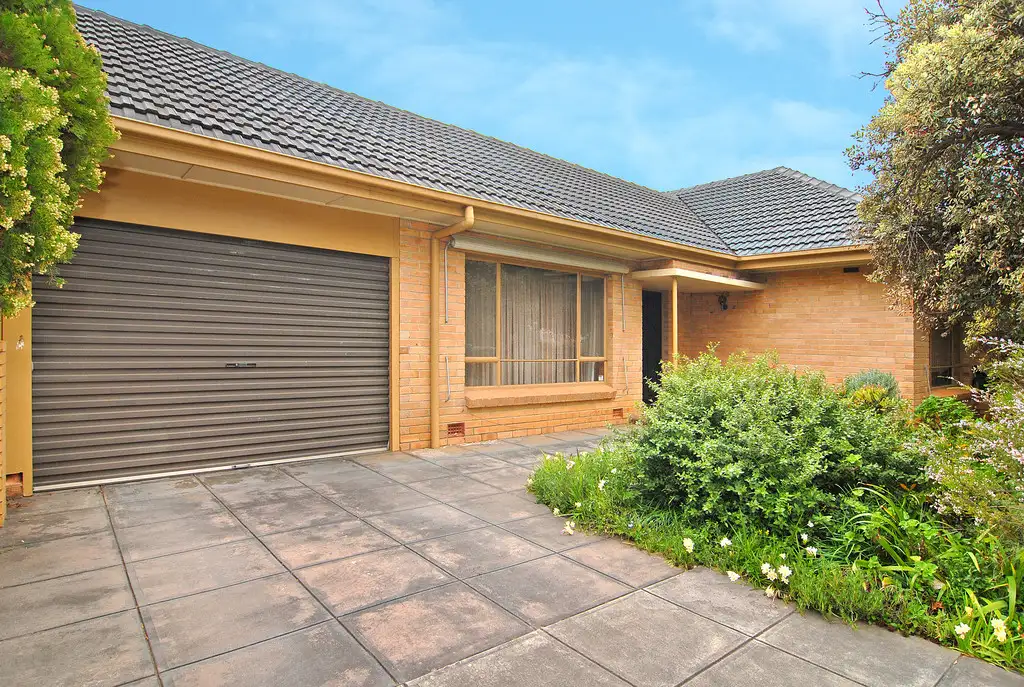 Main view of Homely house listing, 26 Primrose Avenue, Paradise SA 5075