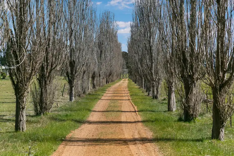 Third view of Homely rural property listing, 1149 South Costerfield - Graytown Road, Nagambie VIC 3608