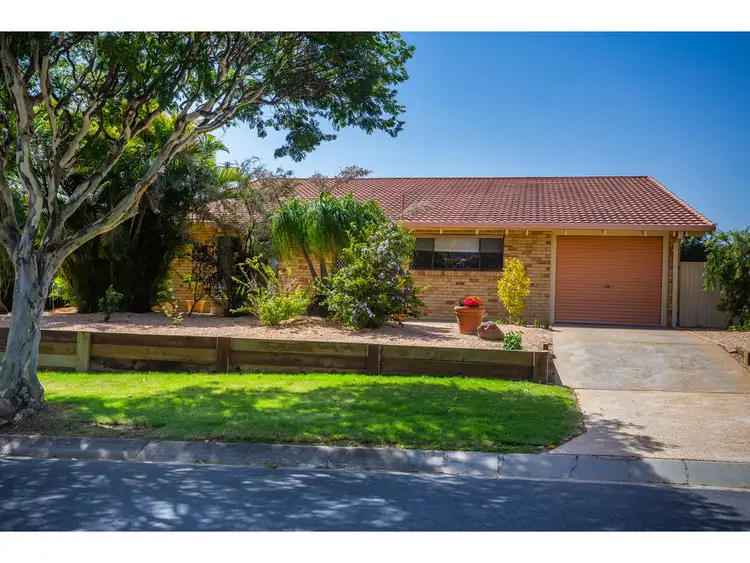 Sixth view of Homely house listing, 31 Ardara Street, Bracken Ridge QLD 4017