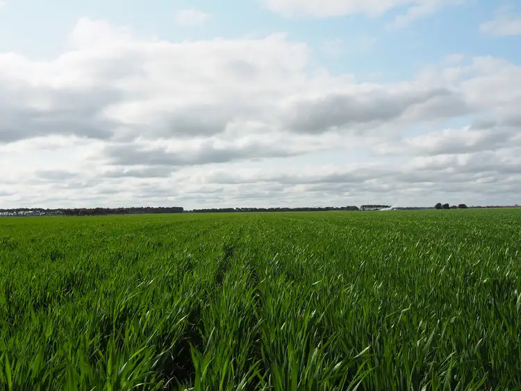 Second view of Homely rural property listing, 750 Four Tree Road, Lismore VIC 3324