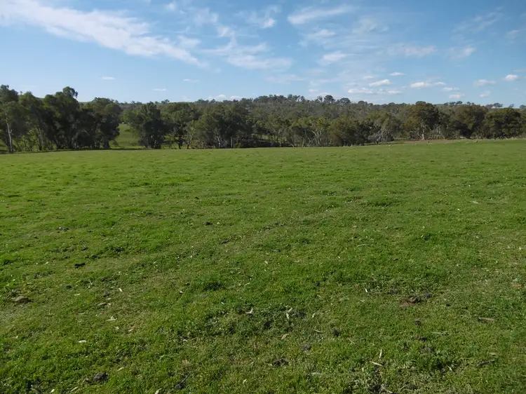 Main view of Homely rural property listing, - Linden Hills 112ha / 276.6 acres, Wirrabara SA 5481