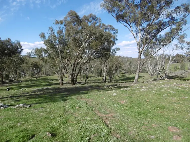Fifth view of Homely rural property listing, - Linden Hills 112ha / 276.6 acres, Wirrabara SA 5481
