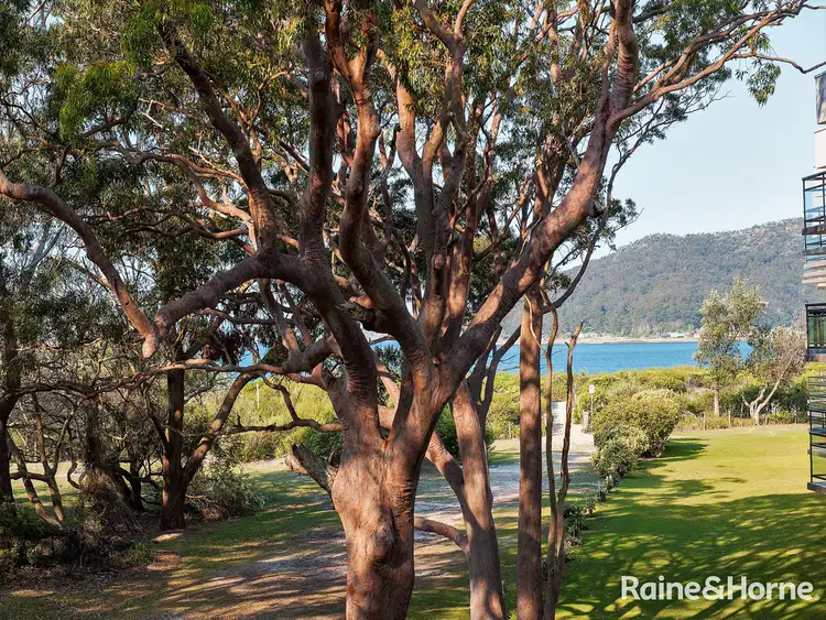 15/ 1 Intrepid Close, Nelson Bay NSW 2315