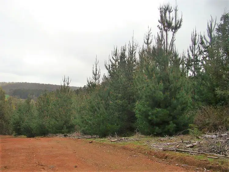 Second view of Homely land listing, lot 995 Grange Road, Bridgetown WA 6255
