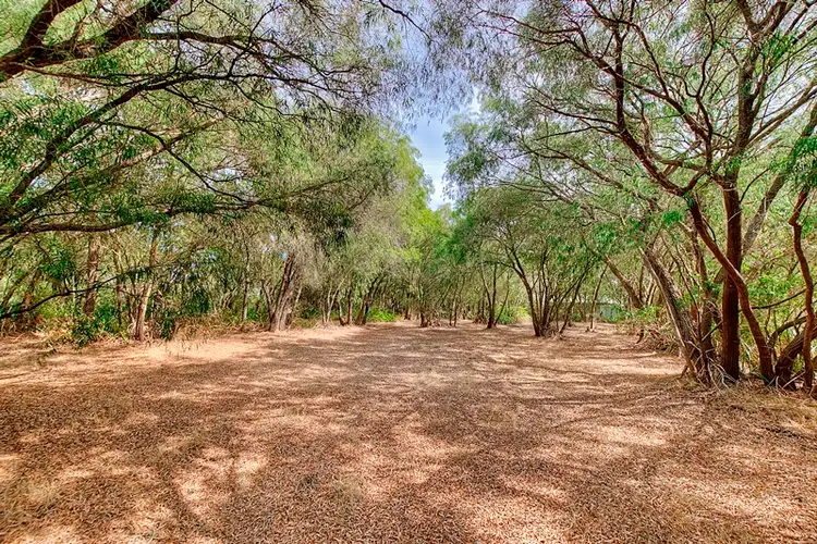 Fourth view of Homely land listing, 11 Backwater Retreat, Quindalup WA 6281