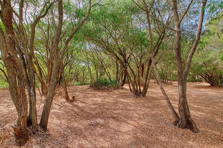 Fifth view of Homely land listing, 11 Backwater Retreat, Quindalup WA 6281