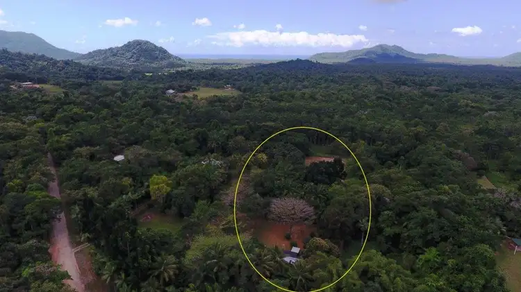 Second view of Homely house listing, 86 Ironbark Road, Daintree QLD 4873
