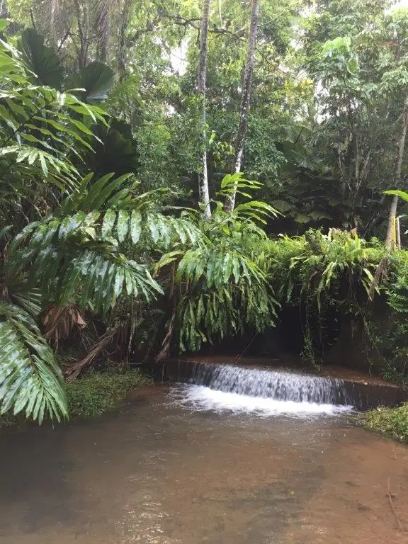 Fourth view of Homely house listing, 86 Ironbark Road, Daintree QLD 4873