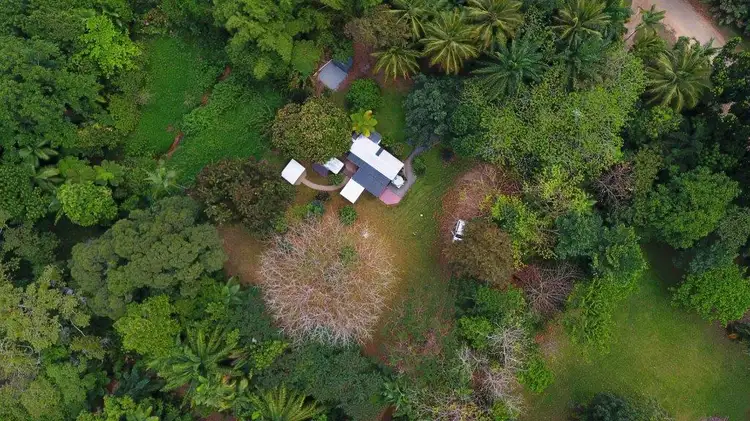 Fifth view of Homely house listing, 86 Ironbark Road, Daintree QLD 4873
