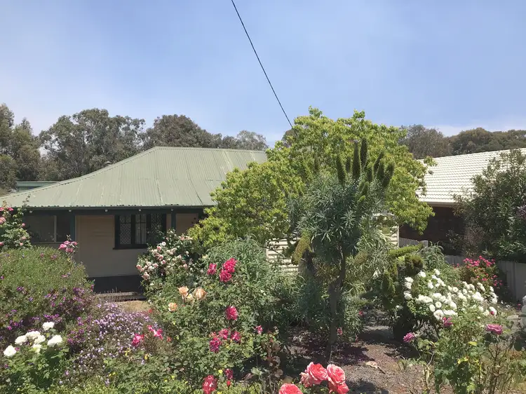 Main view of Homely house listing, 67 Wallsend Street, Collie WA 6225