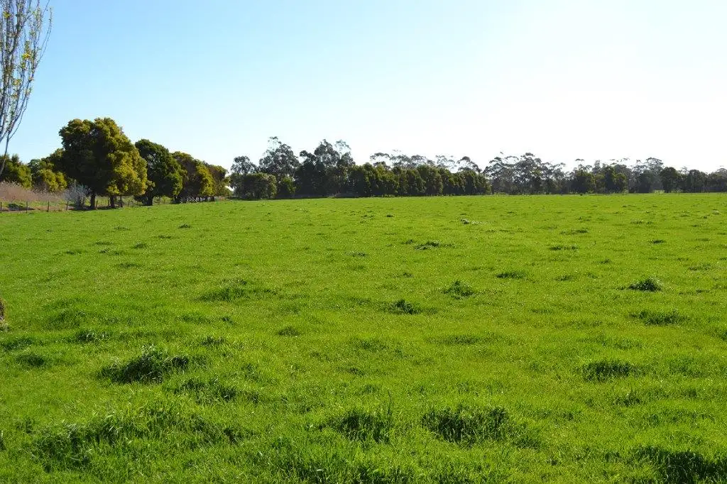 Main view of Homely rural property listing, 267-269 NORTH CANAL RD, Trafalgar VIC 3824