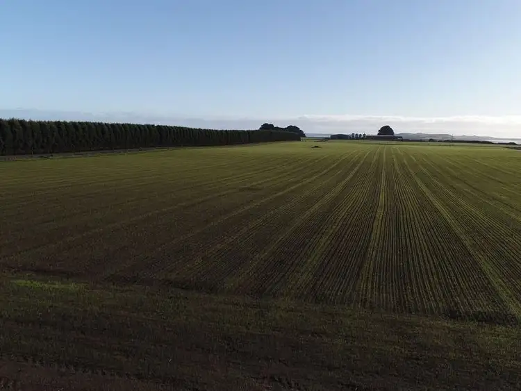 Seventh view of Homely rural property listing, 209 Mengha Road, Forest TAS 7330