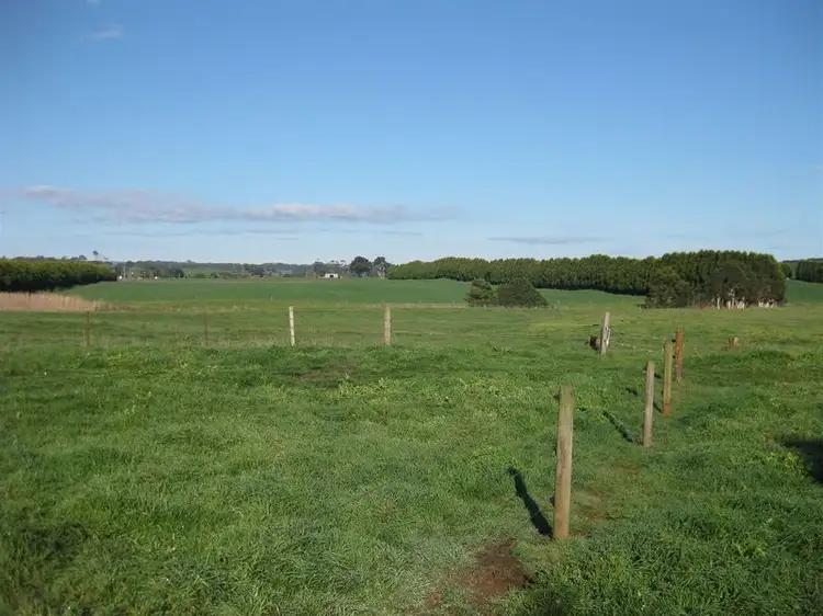 Second view of Homely rural property listing, 1013 Backline Road, Forest TAS 7330