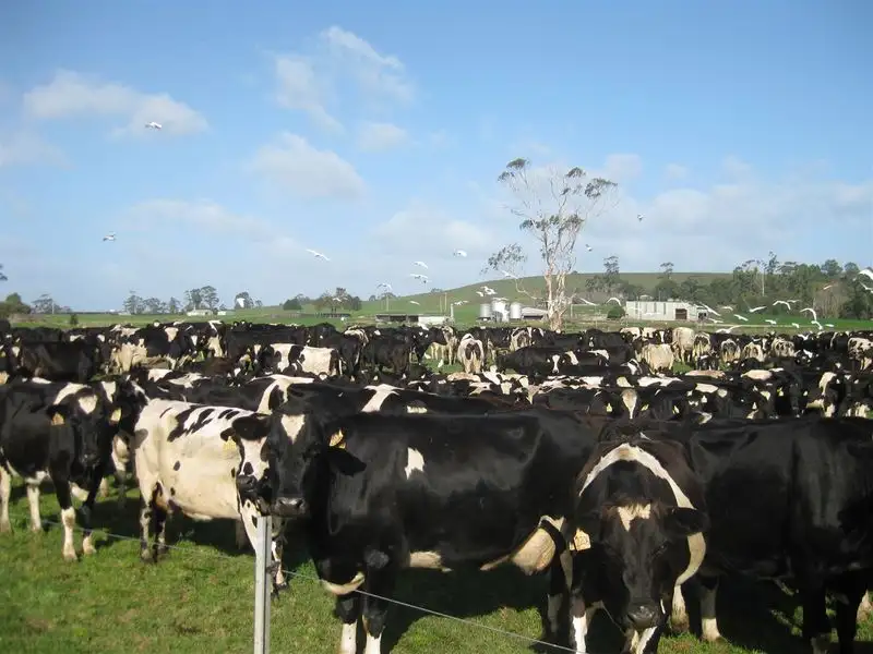 Main view of Homely rural property listing, 136 Robin Hill Road, Flowerdale TAS 7325