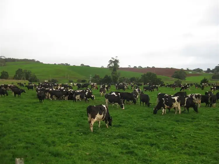 Sixth view of Homely rural property listing, 136 Robin Hill Road, Flowerdale TAS 7325