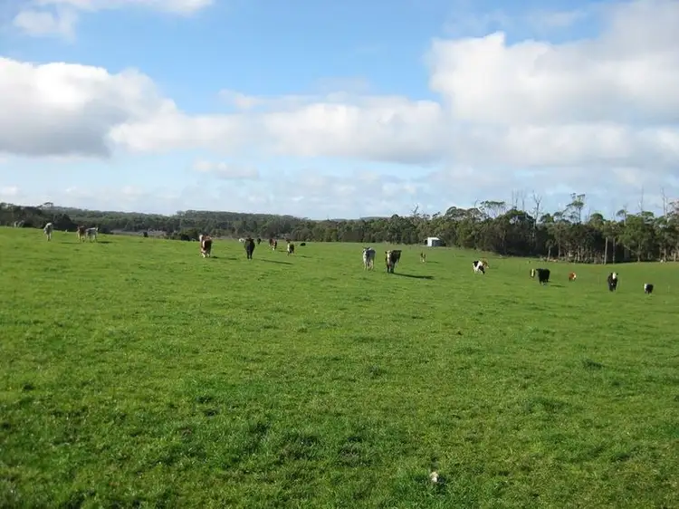 Main view of Homely rural property listing, . Chequers Road, Marrawah TAS 7330