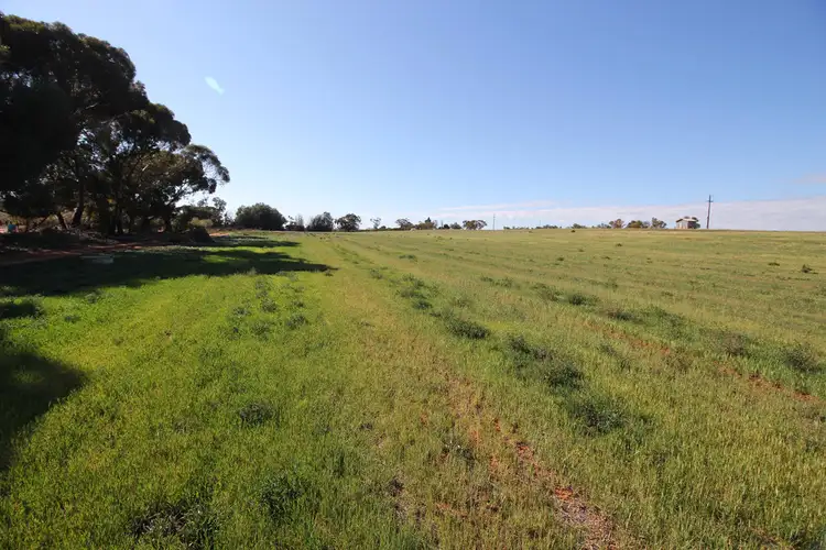 Second view of Homely land listing, Sect 548 Gratwick Road, Loxton SA 5333