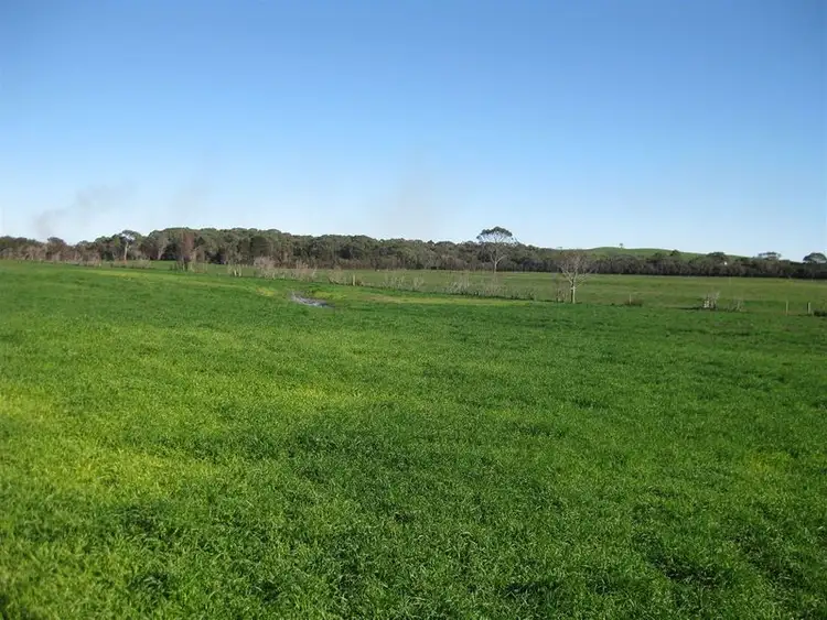 Fourth view of Homely rural property listing, 202 Old Port Road, Montagu TAS 7330