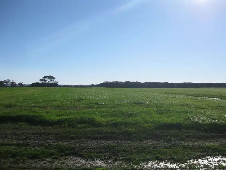 Seventh view of Homely rural property listing, 202 Old Port Road, Montagu TAS 7330