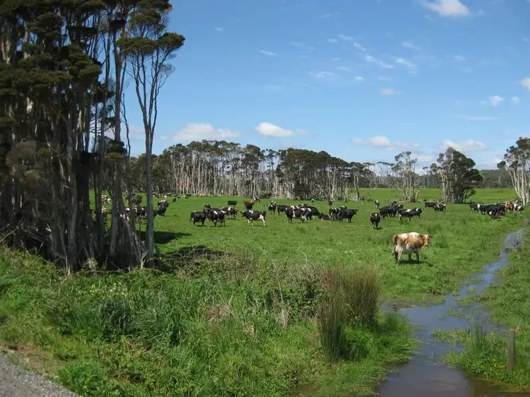 Third view of Homely rural property listing, 27399 Bass Highway, Marrawah TAS 7330
