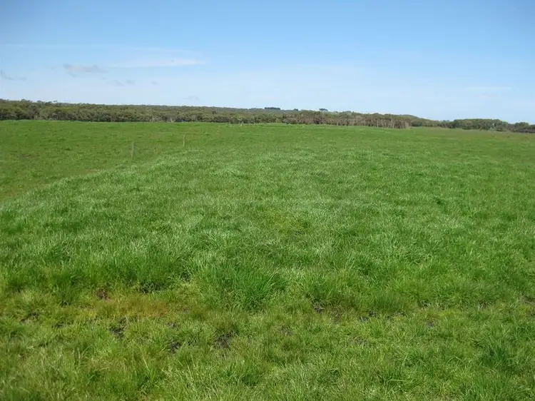 Fifth view of Homely rural property listing, 27399 Bass Highway, Marrawah TAS 7330