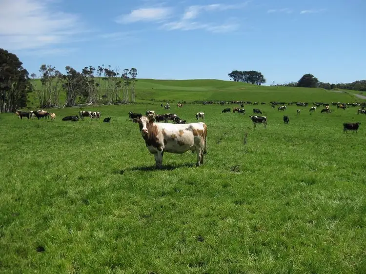 Seventh view of Homely rural property listing, 27399 Bass Highway, Marrawah TAS 7330