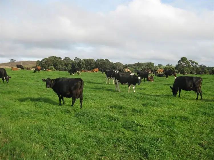 Seventh view of Homely rural property listing, 17 & 91 Wrights Road, Mawbanna TAS 7321