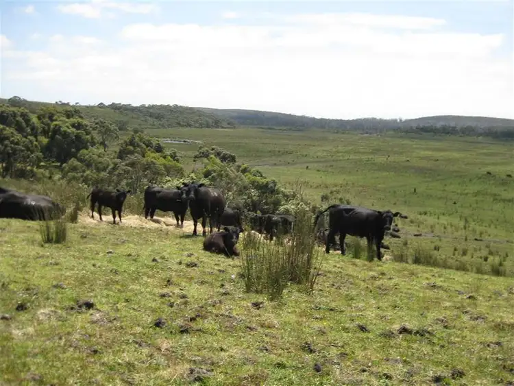 . Harcus River Road, Montagu TAS 7330