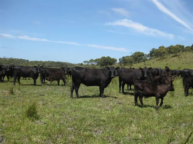 Third view of Homely rural property listing, . Harcus River Road, Montagu TAS 7330