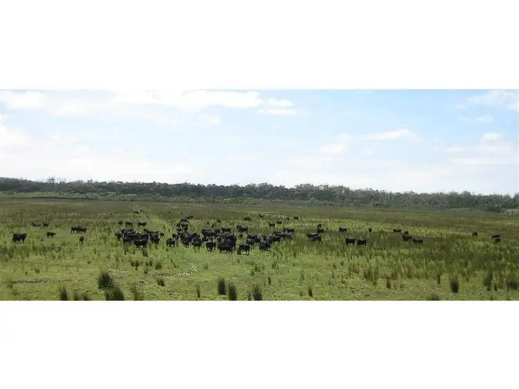 Fourth view of Homely rural property listing, . Harcus River Road, Montagu TAS 7330
