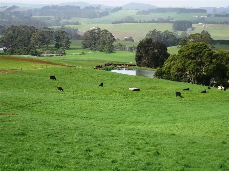 Second view of Homely rural property listing, 1161 Mount Hicks Road, Mount Hicks TAS 7325