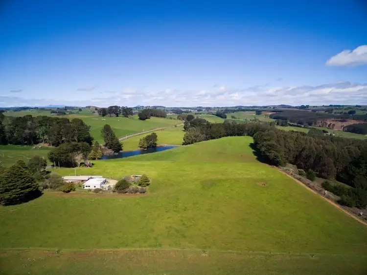 Third view of Homely rural property listing, 1161 Mount Hicks Road, Mount Hicks TAS 7325