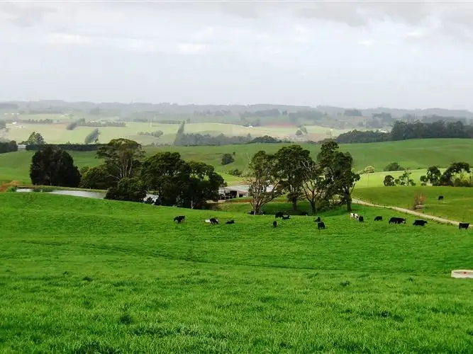 Fifth view of Homely rural property listing, 1161 Mount Hicks Road, Mount Hicks TAS 7325