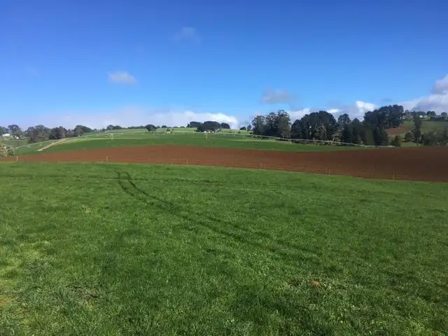 Sixth view of Homely rural property listing, 1161 Mount Hicks Road, Mount Hicks TAS 7325