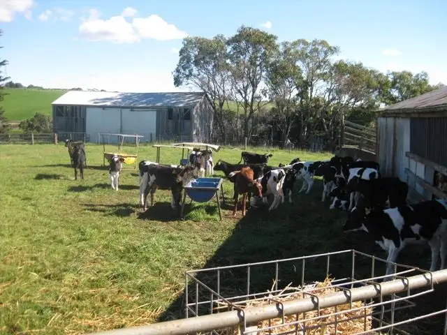 Fourth view of Homely rural property listing, 138 Montumana Road, Rocky Cape TAS 7321