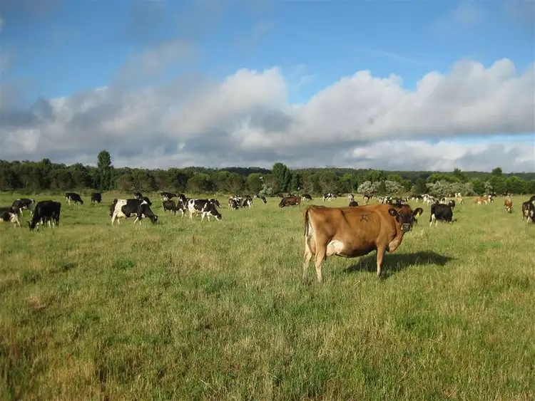 Third view of Homely rural property listing, 59 Partridge Road, Togari TAS 7330