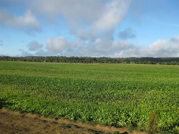 Fifth view of Homely rural property listing, 59 Partridge Road, Togari TAS 7330