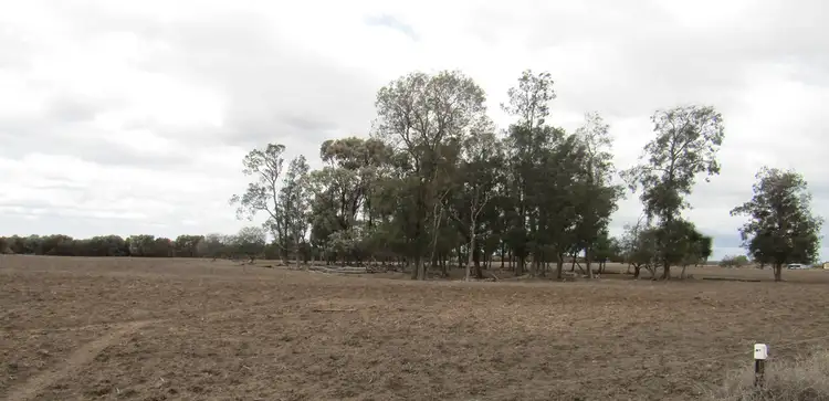 Second view of Homely rural property listing, 399 Nuable Road, Narrabri NSW 2390