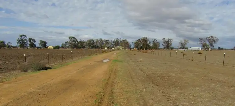 Fifth view of Homely rural property listing, 399 Nuable Road, Narrabri NSW 2390