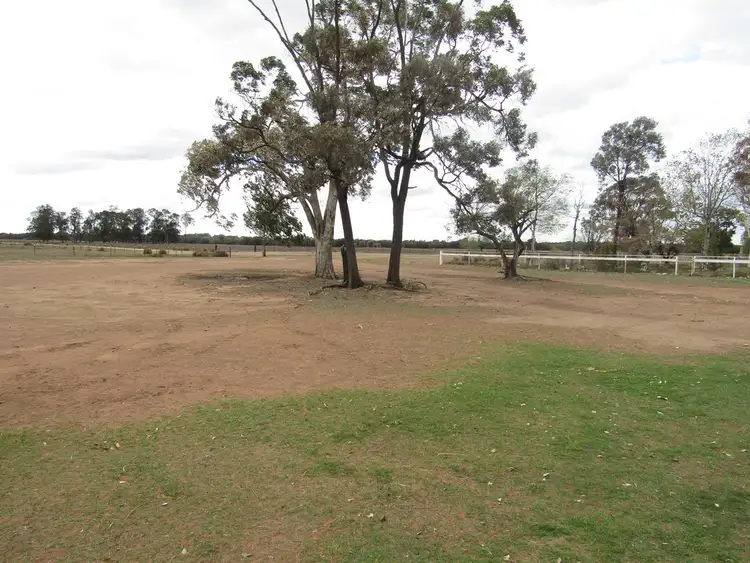 Sixth view of Homely rural property listing, 399 Nuable Road, Narrabri NSW 2390