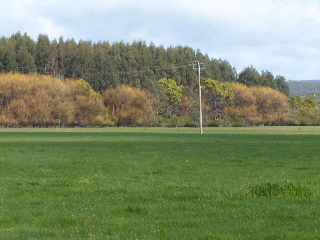 Main view of Homely rural property listing, 401 Tyrendarra-Ettrick Road, Tyrendarra VIC 3285